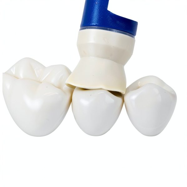 Prophy Angles PMHC100 100% Latex Free Cups No Fatigue Grip Pack of 100-4